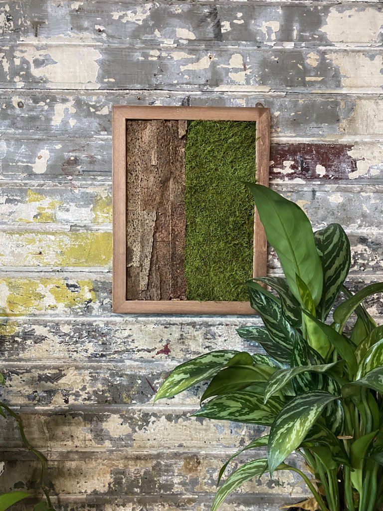 12 x 16 Nature Frame Bark and Moss — PLANTHROPY